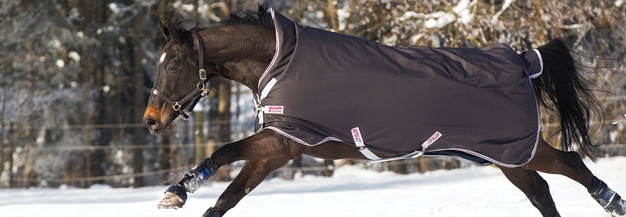 Turnout Blankets