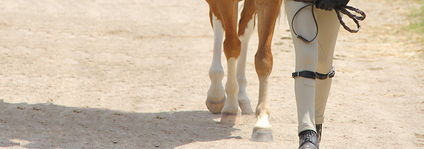 Children's Show Breeches