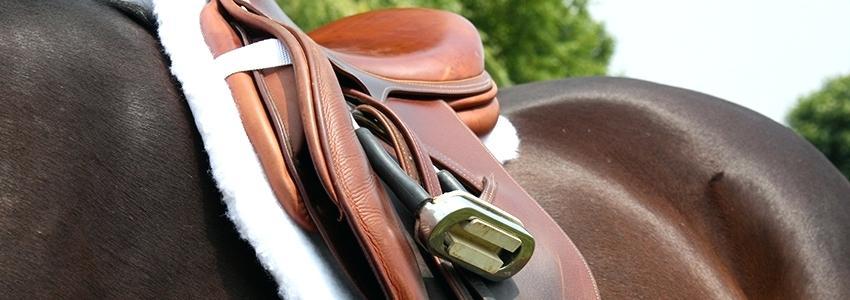 used english saddle