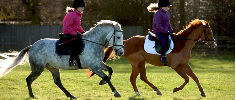 Used Children's Hunter/Jumper Saddles