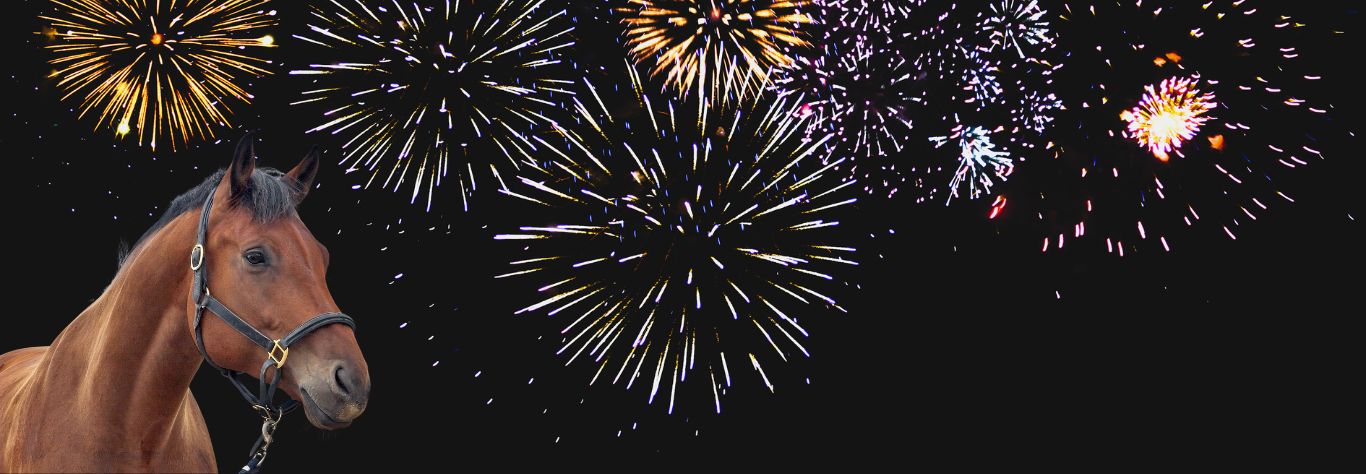 Firework Trick Riding 10 Tips to Keep Your Horse Safe During Fireworks – Maryland Saddlery