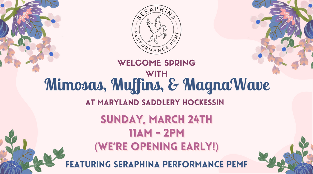 Mimosas, Muffins, & MagnaWave on March 24th