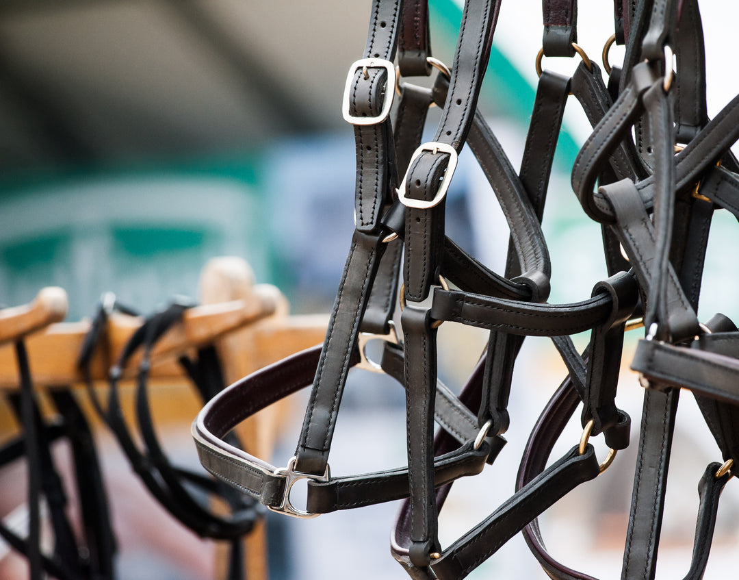 A Guide to Tack Cleaning: How to Care for Your Riding Equipment