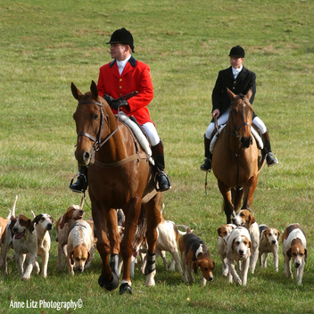 Fox Hunting Apparel – Maryland Saddlery