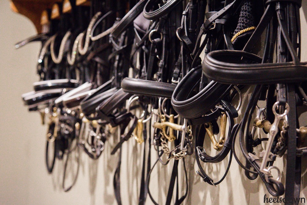 English Horse Bridles and Reins