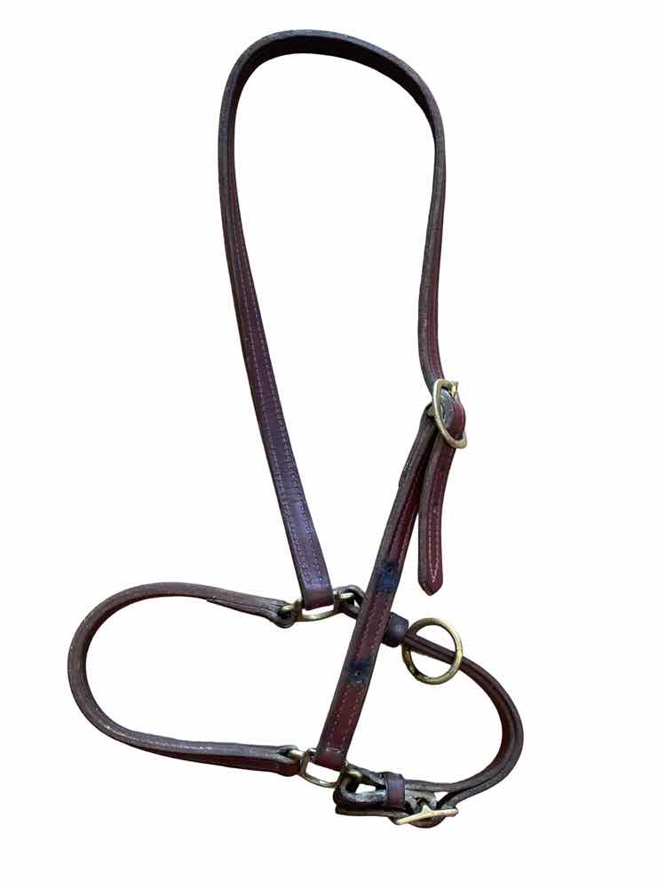 Leather Grooming Halter AS-IS Plate Holes USED B