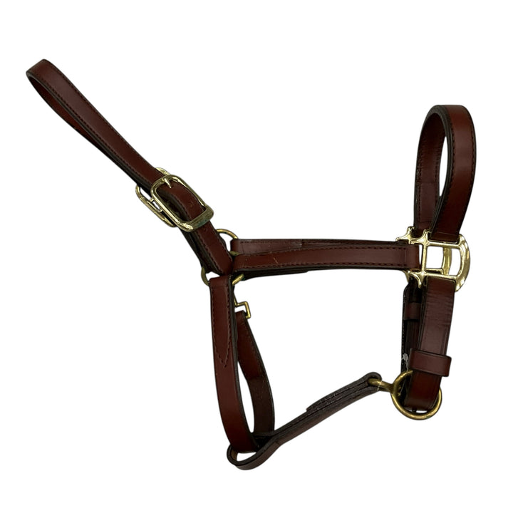 Horse/Full Leather Halter Used - H