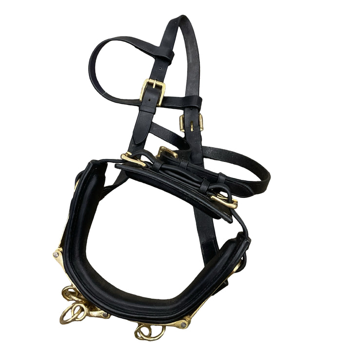 Lunging Caveson Full Black Used - H