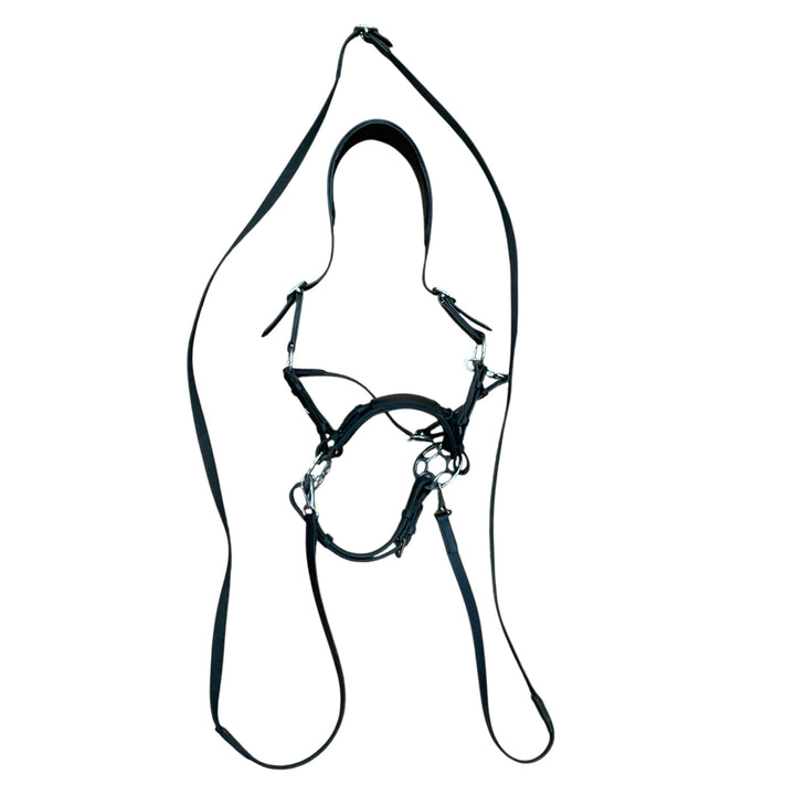 Padded Bitless Brilde w/ Waldhausen Sensitive Bitless Noseband w/ Wheel - H