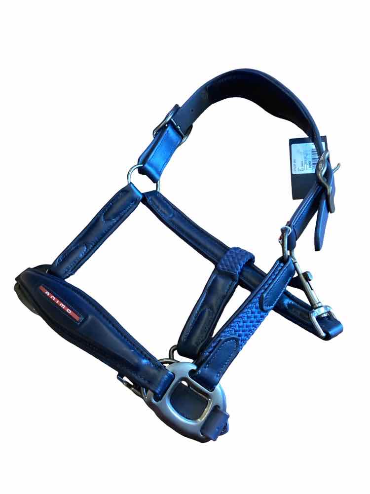 ANIMO new leather navy halter pony size
