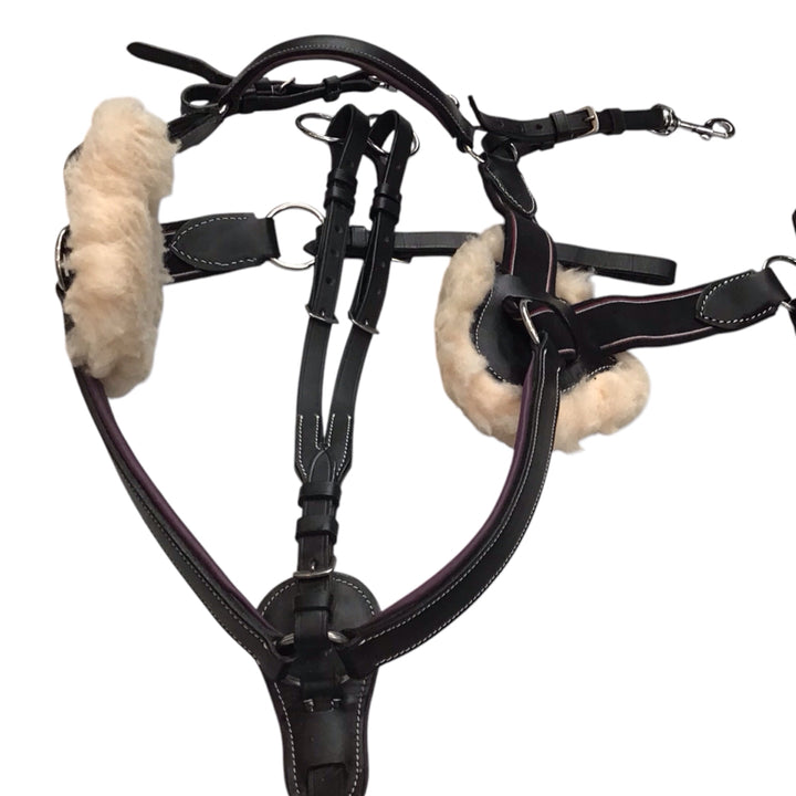 Horse Size Five-Point Breastplate Used - H