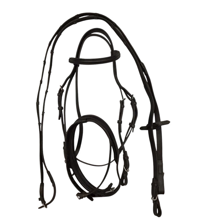 Passier Full Size Juno Dressage Bridle Used - H