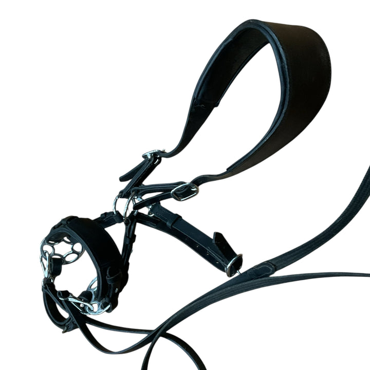 Padded Bitless Brilde w/ Waldhausen Sensitive Bitless Noseband w/ Wheel - H