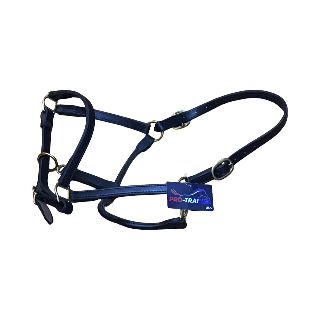 Pro Trainer 3/4" Leather Track Halter New