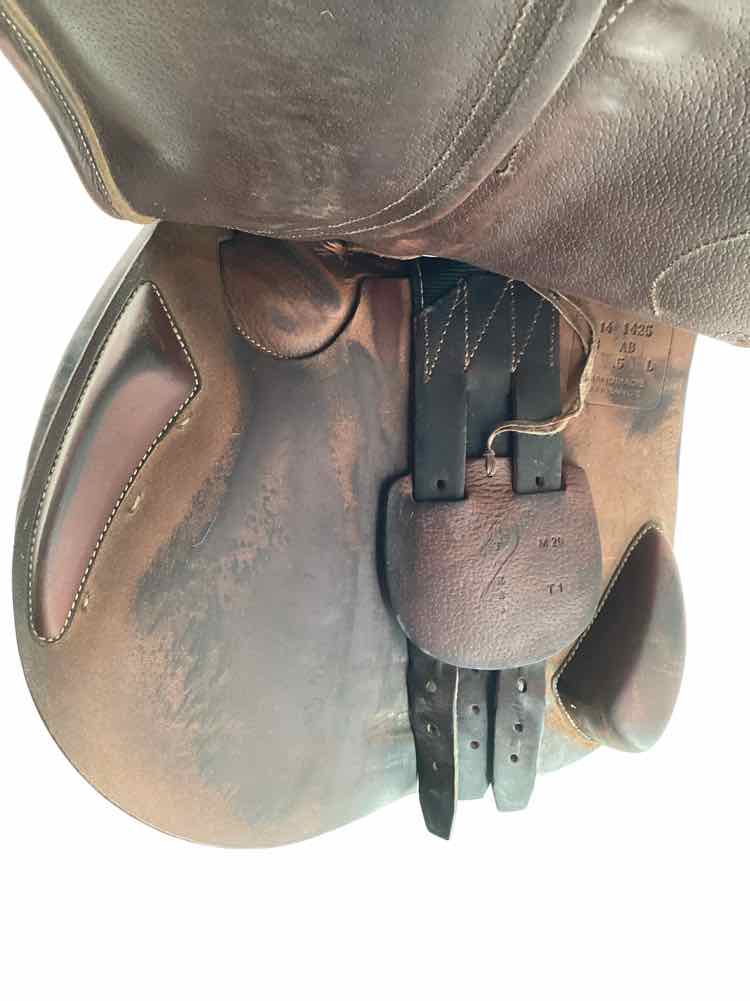 17.5" Antares Custom Comfort jump saddle used