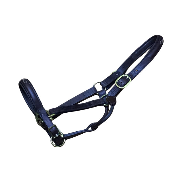 SMARTPAK Wellfleet Padded Fancy Stitched Halter AS-IS Plate Holes USED B