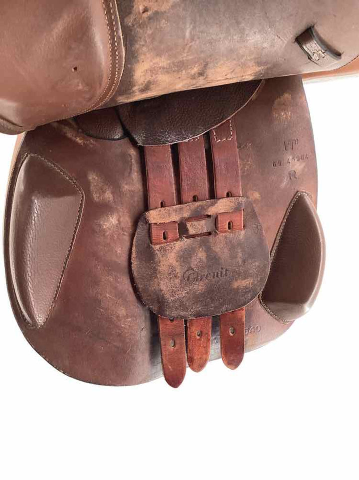 17" Dover Circuit used close contact saddle B