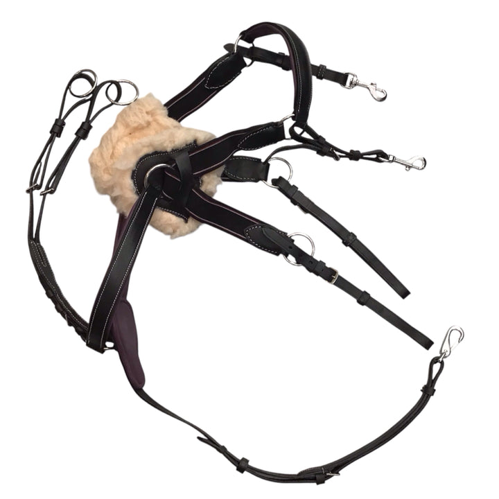 Horse Size Five-Point Breastplate Used - H
