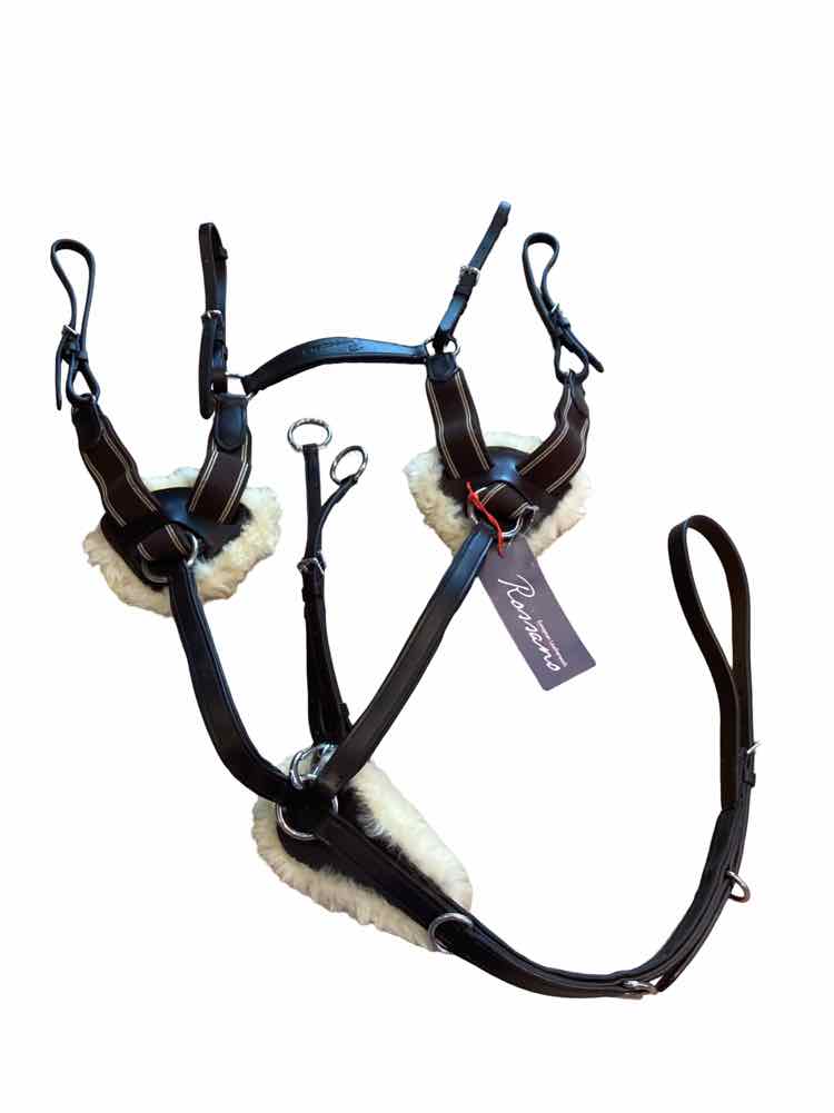 SHIRES Rossano 5pt Breastplate w/Running Attachment NEW B