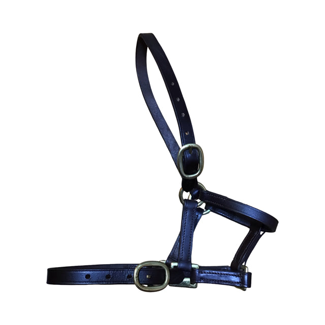 BERNEY BROS. B1/Foal Leather Halter NEW B