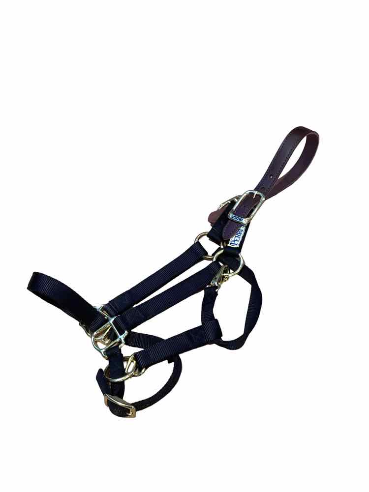 PERRIS Breakaway Nylon Halter NEW B