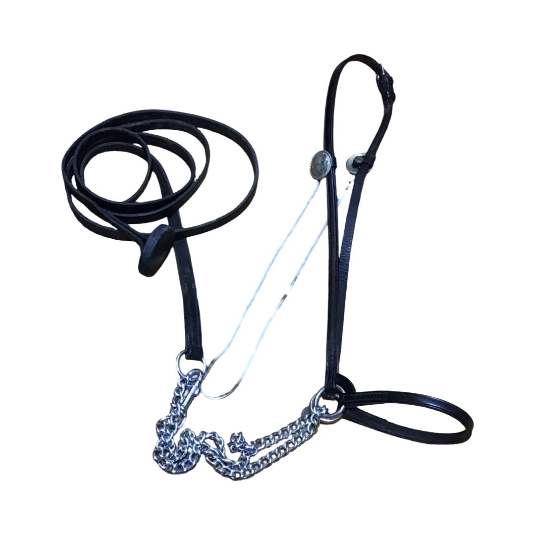 Vtg Arabian Show Halter w/Lead Used