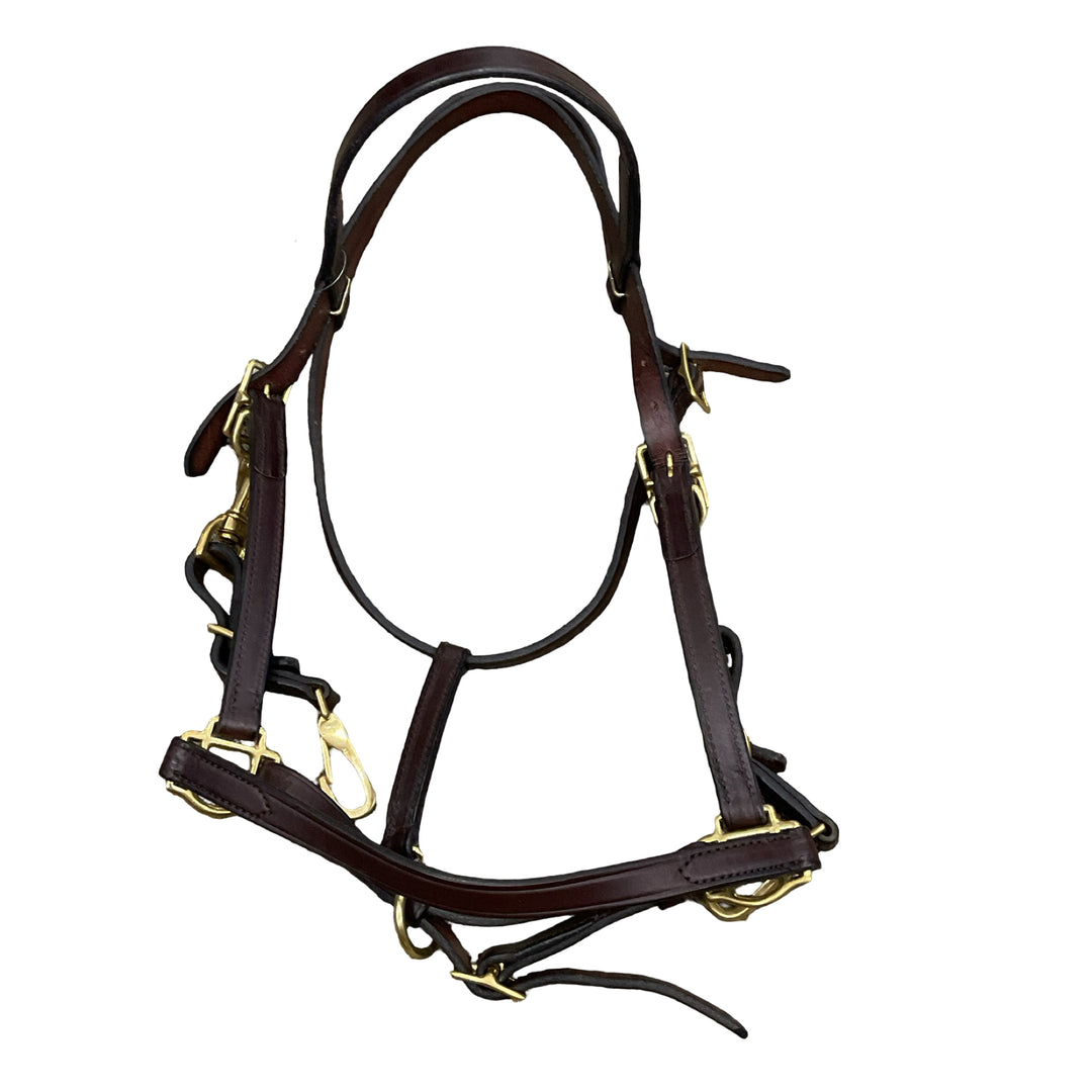Tory Cob Leather Trail Bridle Brown Like New - H