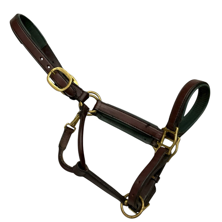 Cob Padded Leather Halter Brown/Green Used - H