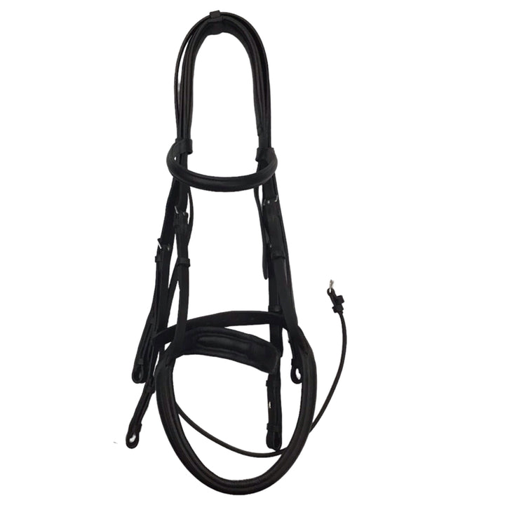 Albion Warmblood Double Bridle with Reins Used - H