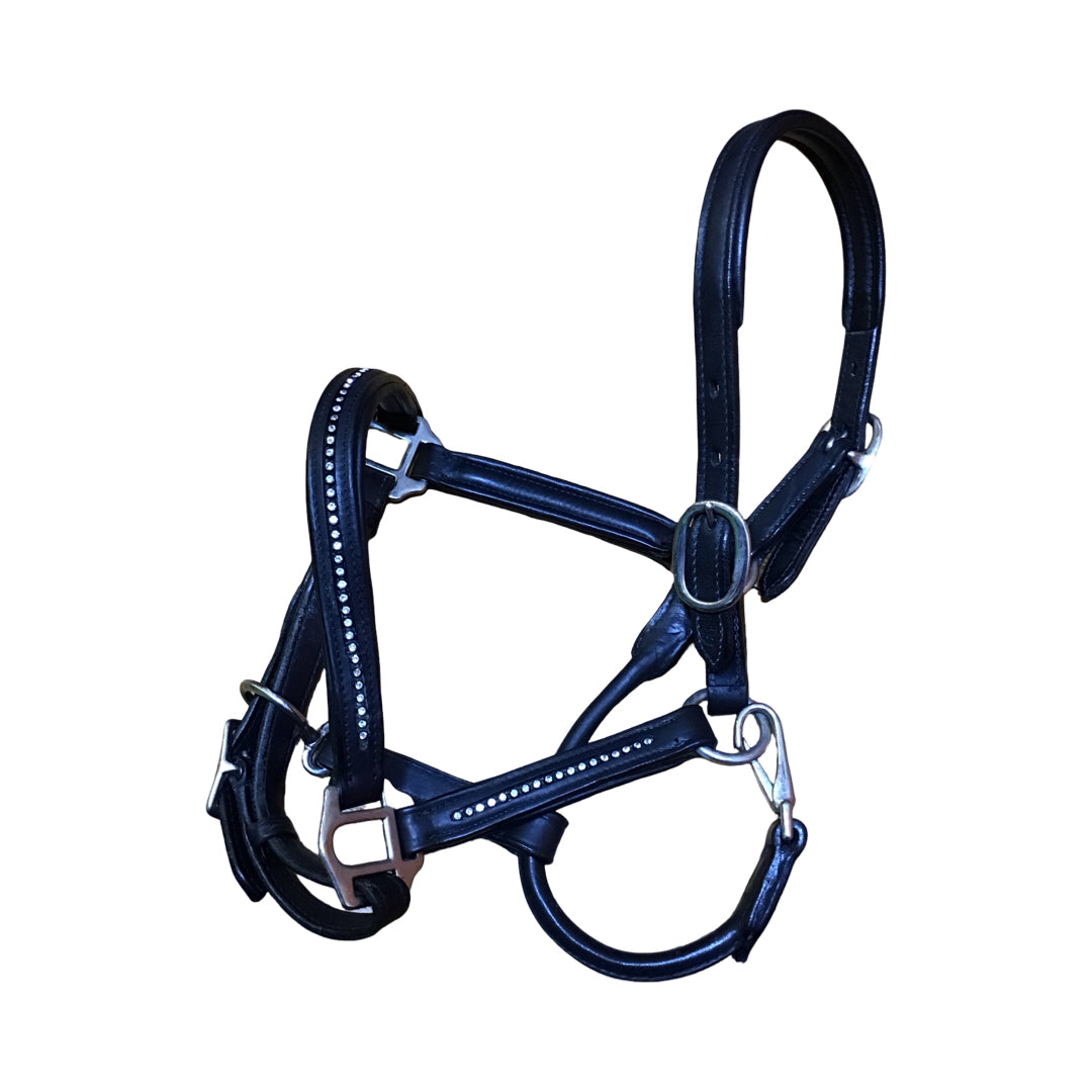 Best Deals on New & Used Horse Tack & Equestrian Consignment Apparel