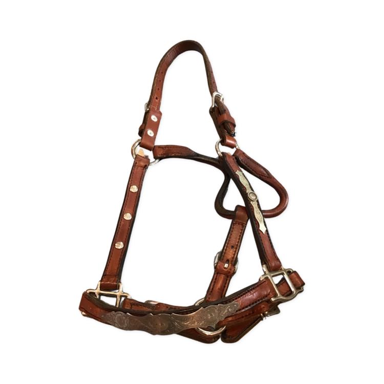 Yearling /large pony halter brown leather silver western B