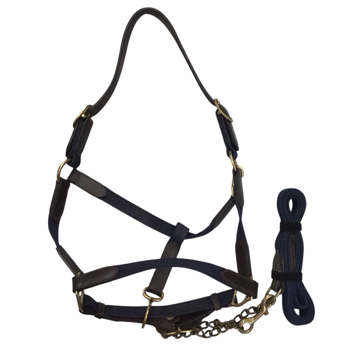 Full Size Breakaway Halter with Lead Used - H