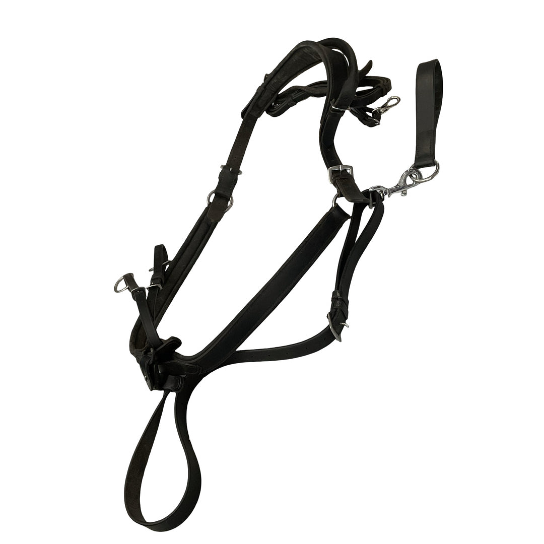 Correct Connect Double Neck Strap w/ Running Martingale & Girth Loop Black Used