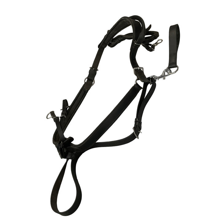 Correct Connect Double Neck Strap w/ Running Martingale & Girth Loop Black Used