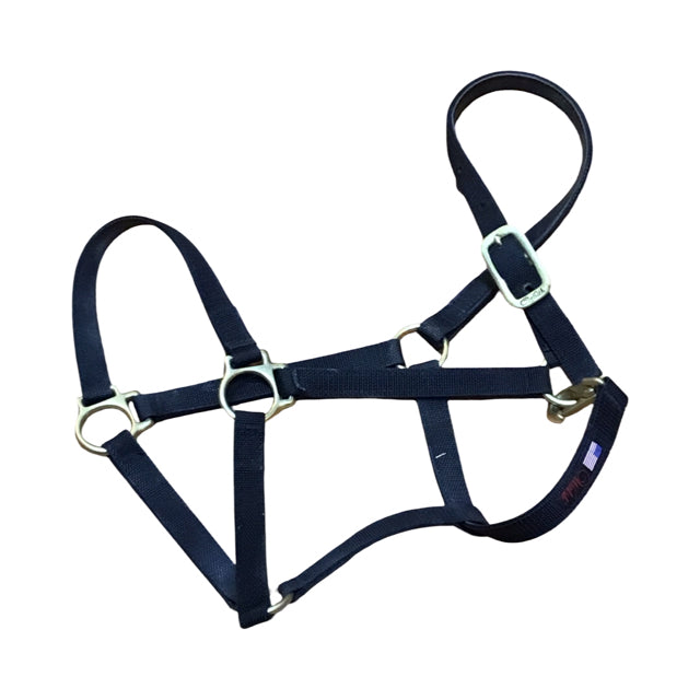 WALSH 3/4" Nylon Halter USED B