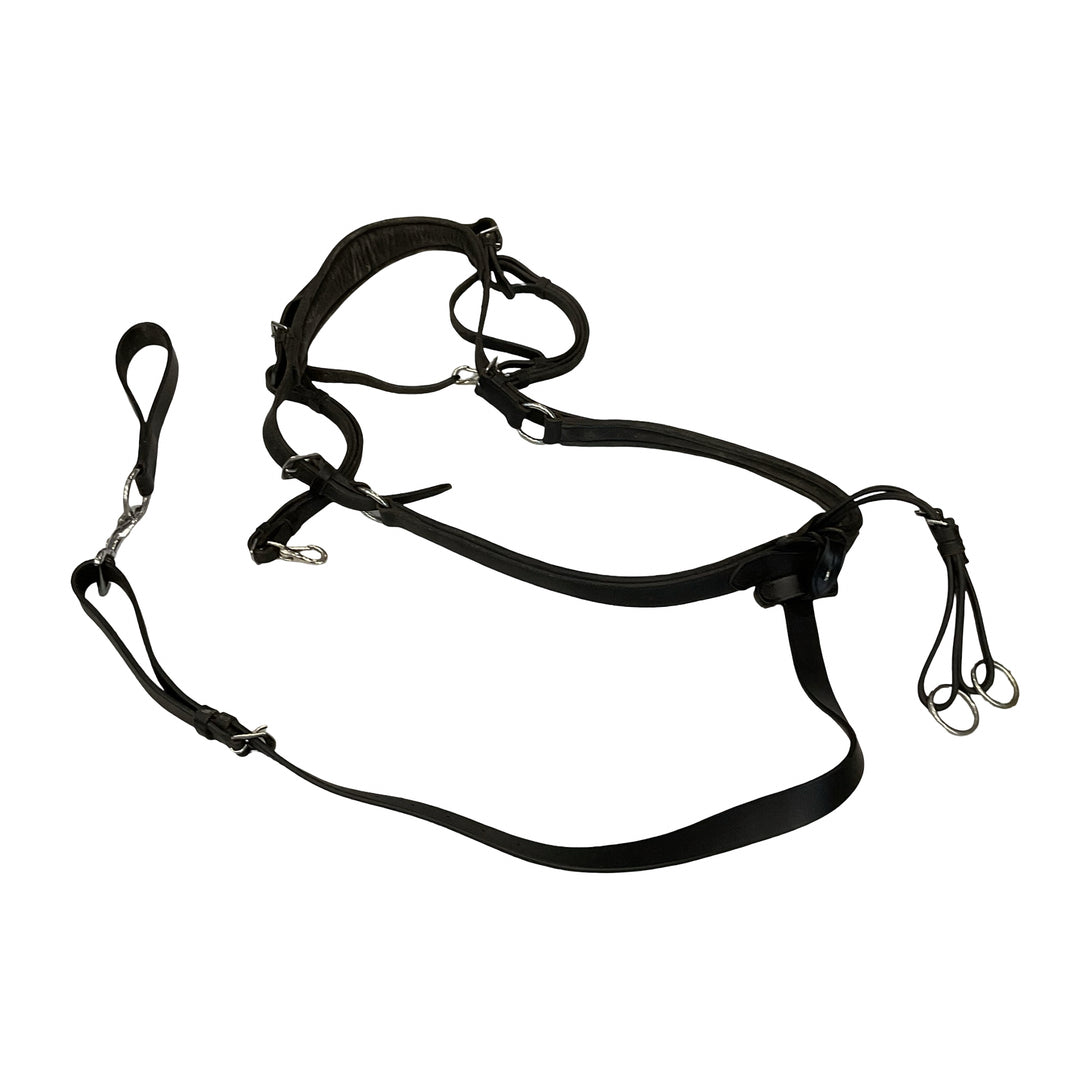 Correct Connect Double Neck Strap w/ Running Martingale & Girth Loop Black Used