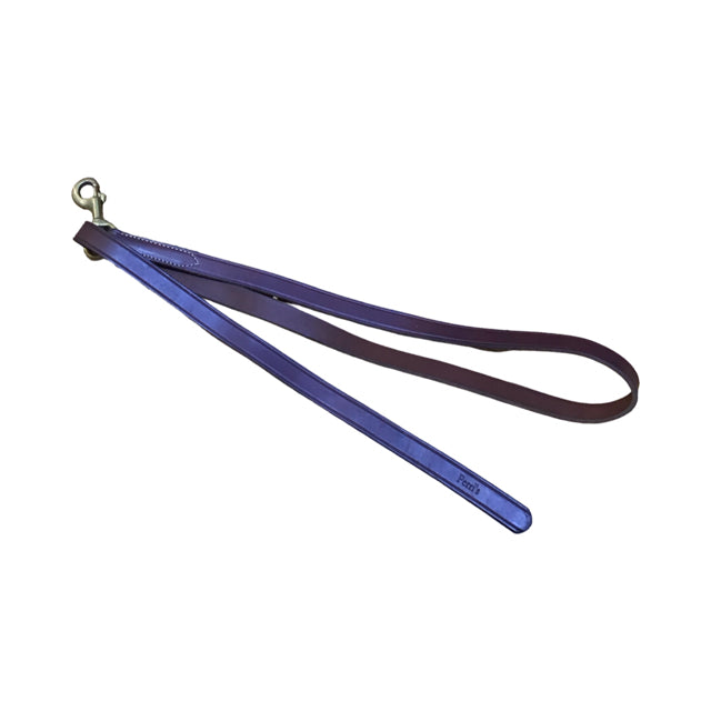 PERRI'S Leather Lead USED B