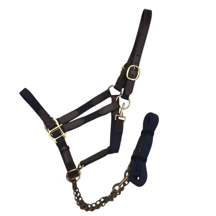 Full Size Breakaway Halter with Lead Used - H