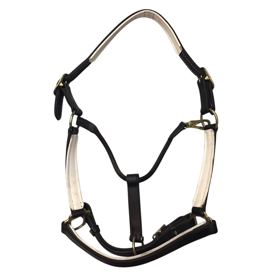 Tory Leather Horse Size Padded Leather Halter Used - H