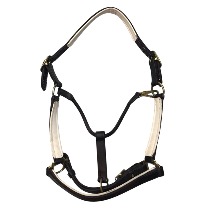 Tory Leather Horse Size Padded Leather Halter Used - H