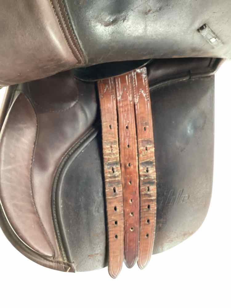 17" Collegiate used all purpose saddle B