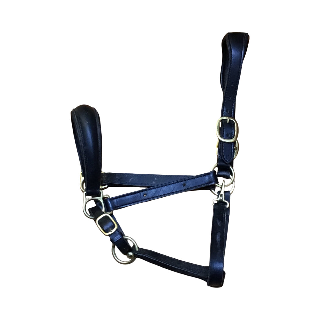Padded Raised Leather Halter AS-IS Plate Holes Used
