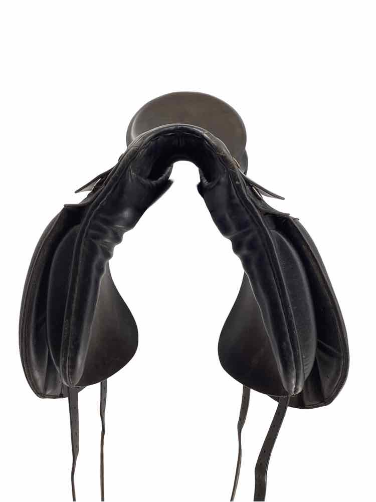 Rembrandt used dressage saddle B