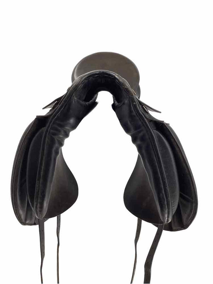 Rembrandt used dressage saddle B