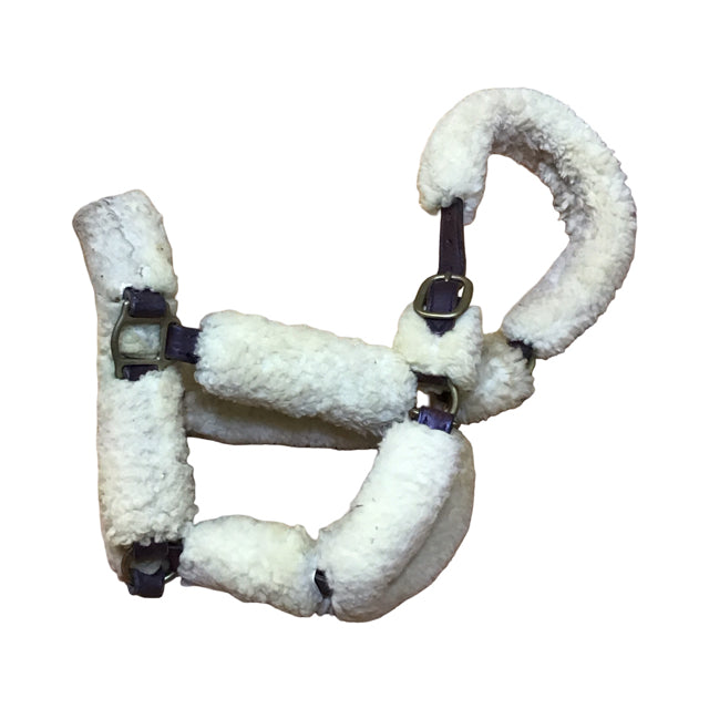 Leather Sheepskin Shipping Halter Used