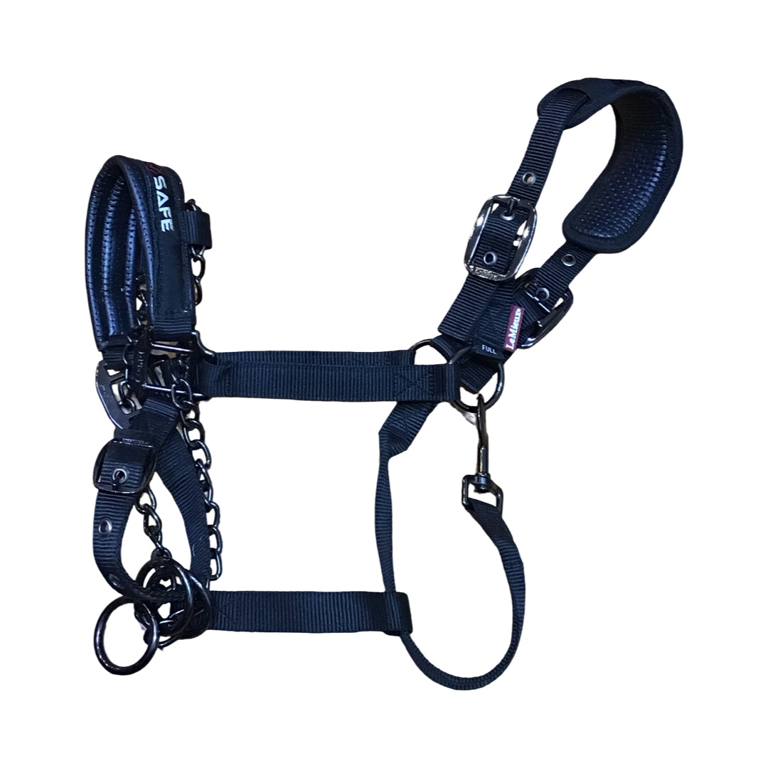 Best Deals on New & Used Horse Tack & Equestrian Consignment Apparel