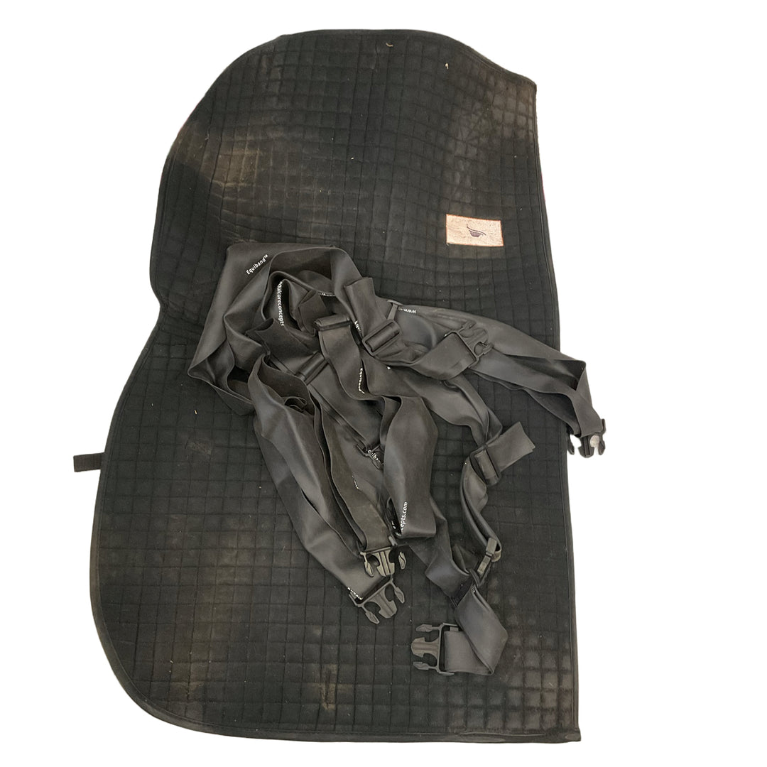 Equicore Concepts Complete Equiband Pro System Black Used