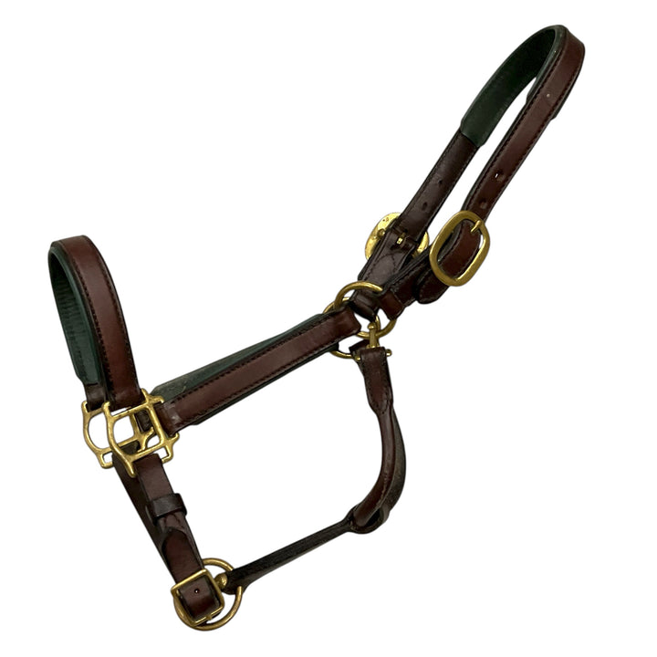Cob Padded Leather Halter Brown/Green Used - H