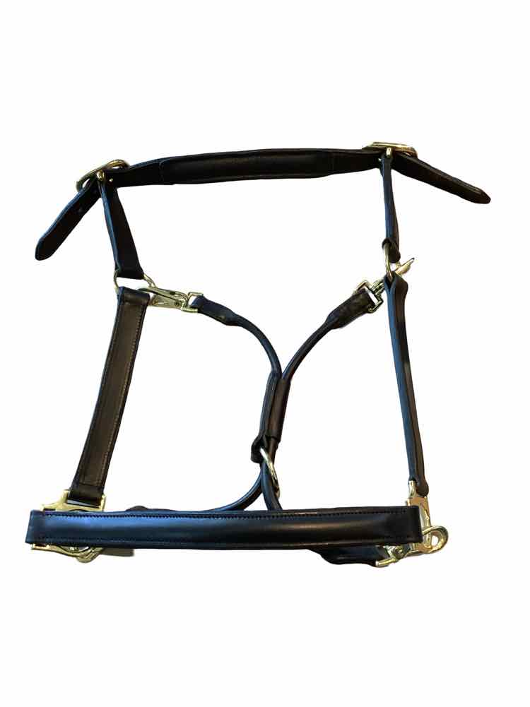 NEW  Cob black leather halter B