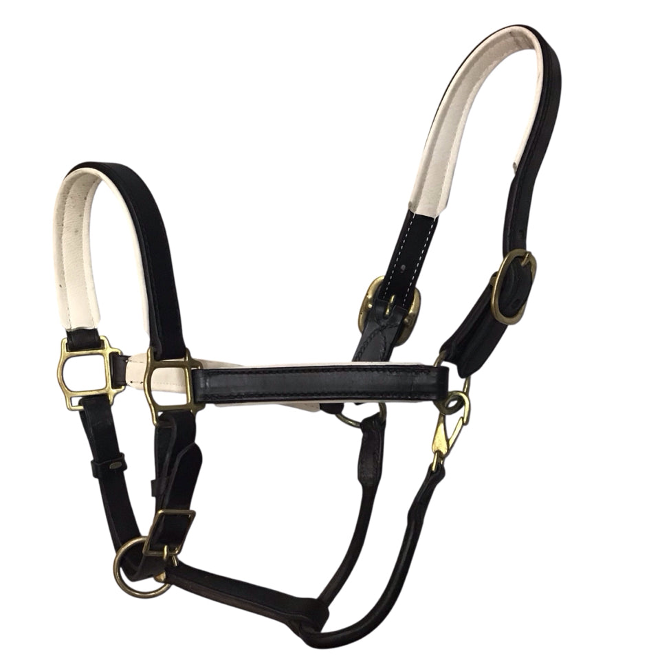 Tory Leather Horse Size Padded Leather Halter Used - H